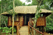 Homestays  in wayanad