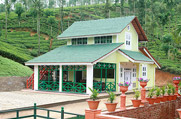 Resorts in wayanad