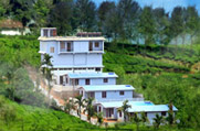 villas in wayanad